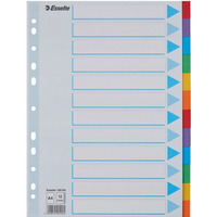 Przekładki kolorowy karton z kartą opisową A4 100194 12 kart ESSELTE