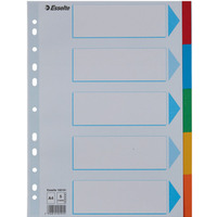 Przekładki karton A4 5 kart ESSELTE 100191 kolorowe z kartą opisową