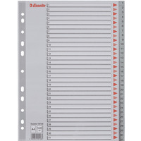 Przekadki plastikowe szare PP A4 1-31 numeryczne 100108 ESSELTE