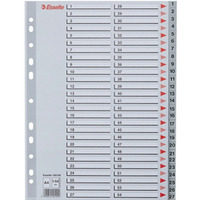 Przekładki plastikowe numeryczne A4 1-54 szare ESSELTE 100109
