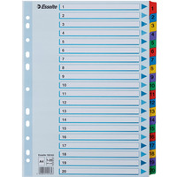 Przekładki kartonowe MYLAR A4 1-20 białe 100163 ESSELTE