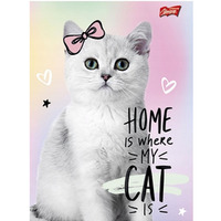 Zeszyt A5 16k kratka laminowany mix dziewcz�cy UNIPAP