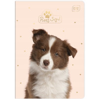 Zeszyt A5 16k 3linia 70g UV INTERDRUK