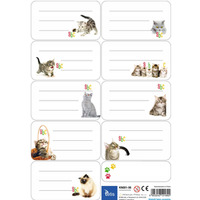 Naklejki na ksi��ki i zeszyty 9szt na arkuszu (25ark) KN001-06 TETIS