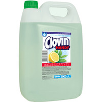 Mydo w pynie 5 litrw ANTYBAKTERYJNE CLOVIN (zielone) cytryna i zielona herbata z gliceryn