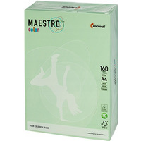 Papier ksero A4 160g MAESTRO COLOR MG28 pastel zielony 250a