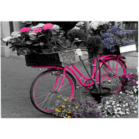 Koperta na nap A4 PP z nadrukiem Bike 0410-0062-44 Panta Plast