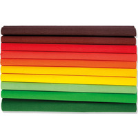 Bibua marszczona 25 x200cm - JESIEN MIX 10 kolorw, 10 rolek, HA 3640 2521 Happy Color