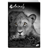 Zeszyt A5 60k kratka okładka miękka ANIMALS EL-M12-060-KA5 ELISA