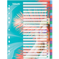 Przek�adki Colour`Breeze PP A4 20 przek�adek 628502 ESSELTE