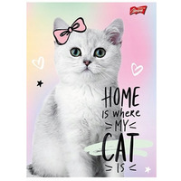 Zeszyt A4 32k 3linia dwukolorowa laminowany MIX UNIPAP