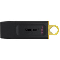 Pami USB 128GB KINGSTON USB 3.2 DTX/128GB DataTravel