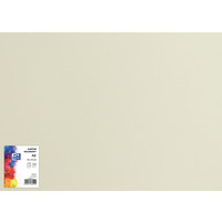 Karton kolorowy CREATINIO A2 160G (25 ark.) 93 jasnoszary 400150158 TOP 2000