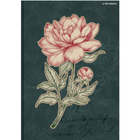 Brulion A5 96k kratka margines 70g FLOWERS 400169432 TOP 2000