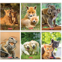 Zeszyt A5 32k 3linia ANIMALS 9583071 HERLITZ