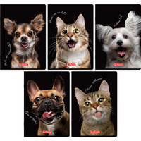 Zeszyt szkolny A5 16 kartek w kratk� kolorow� 70g ANIMALS 400196855 HERLITZ