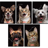 Zeszyt szkolny A5 60 kartek w kratk� 70g CRAZY ANIMAL 400196837 HERLITZ