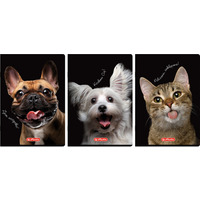 Zeszyt szkolny A4 60 kartek w kratk 70g CRAZY ANIMAL 400196844 HERLITZ