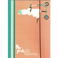 Teczka z gumką LAMA brzoskiwniowa kolekcja NO PROBlama 302/96 VAUPE